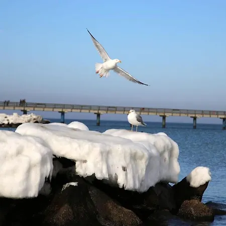 Ostseeliebe Comfortable