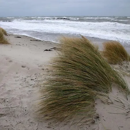 Ostseeliebe Comfortable Holiday home